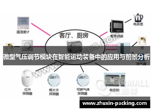 微型气压调节模块在智能运动装备中的应用与前景分析